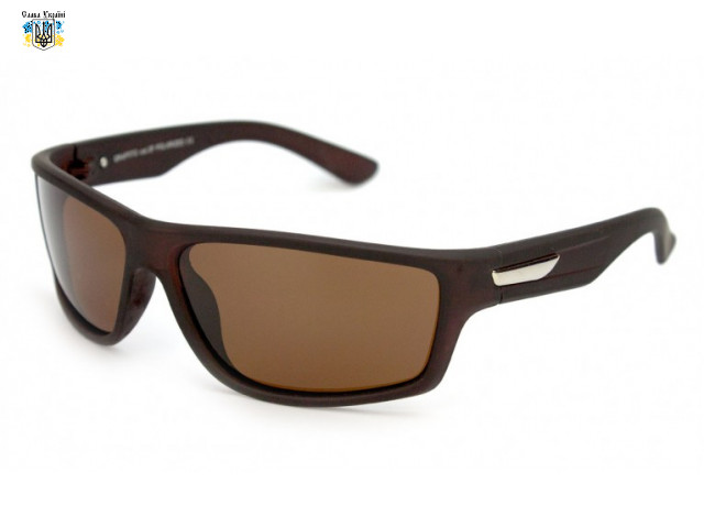 Чоловічі сонцезахісні окуляри Graffito 3108